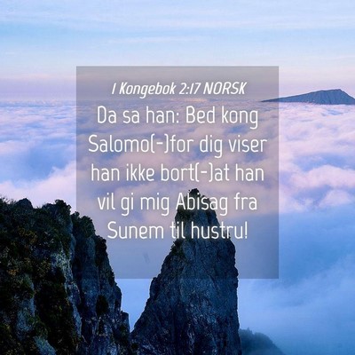 Picture 04 - 1 Kongebok 2:17 NORSK - Da sa han: Bed kong Salomo(-)for dig viser han - Bible Verse Picture