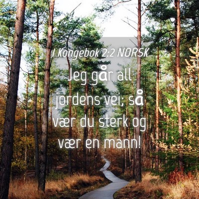Picture 04 - 1 Kongebok 2:2 NORSK - Jeg går all jordens vei; så vær du sterk og - Bible Verse Picture
