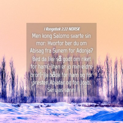 Picture 04 - 1 Kongebok 2:22 NORSK - Men kong Salomo svarte sin mor: Hvorfor ber du om - Bible Verse Picture