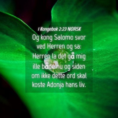Picture 04 - 1 Kongebok 2:23 NORSK - Og kong Salomo svor ved Herren og sa: Herren la - Bible Verse Picture