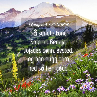 Picture 04 - 1 Kongebok 2:25 NORSK - Så sendte kong Salomo Benaja, Jojadas sønn, - Bible Verse Picture