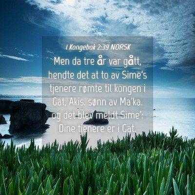 Picture 04 - 1 Kongebok 2:39 NORSK - Men da tre år var gått, hendte det at to av - Bible Verse Picture