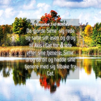 Picture 04 - 1 Kongebok 2:40 NORSK - Da gjorde Sime' sig rede og salte sitt asen og - Bible Verse Picture