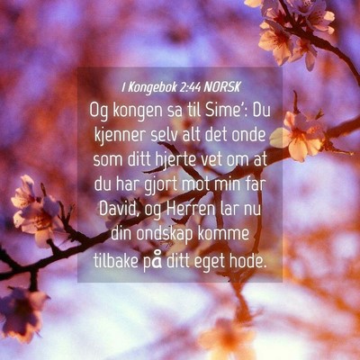 Picture 04 - 1 Kongebok 2:44 NORSK - Og kongen sa til Sime': Du kjenner selv alt det - Bible Verse Picture