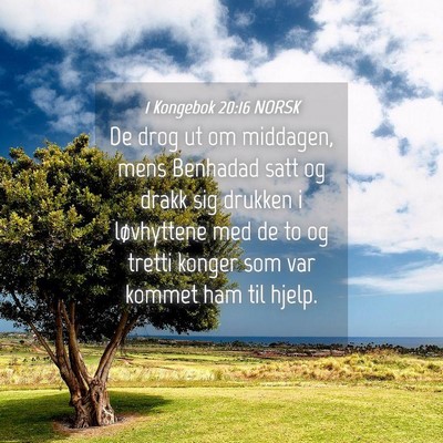 Picture 04 - 1 Kongebok 20:16 NORSK - De drog ut om middagen, mens Benhadad satt og - Bible Verse Picture