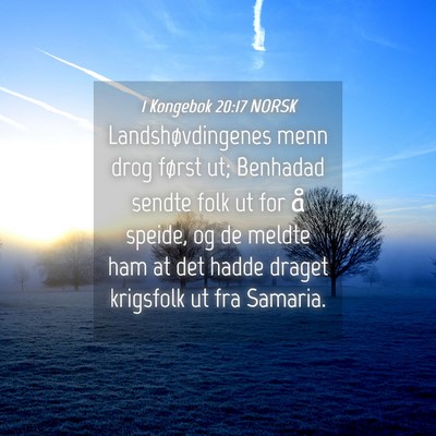Picture 04 - 1 Kongebok 20:17 NORSK - Landshøvdingenes menn drog først ut; Benhadad - Bible Verse Picture