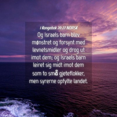 Picture 04 - 1 Kongebok 20:27 NORSK - Og Israels barn blev mønstret og forsynt med - Bible Verse Picture