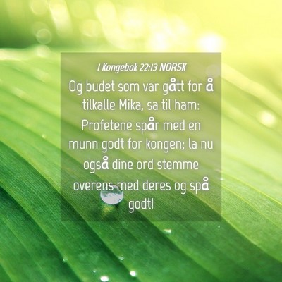 Picture 04 - 1 Kongebok 22:13 NORSK - Og budet som var gått for å tilkalle Mika, sa - Bible Verse Picture