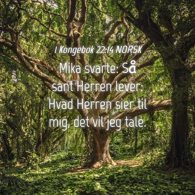 Picture 04 - 1 Kongebok 22:14 NORSK - Mika svarte: Så sant Herren lever: Hvad Herren - Bible Verse Picture
