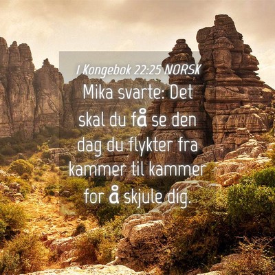 Picture 04 - 1 Kongebok 22:25 NORSK - Mika svarte: Det skal du få se den dag du - Bible Verse Picture