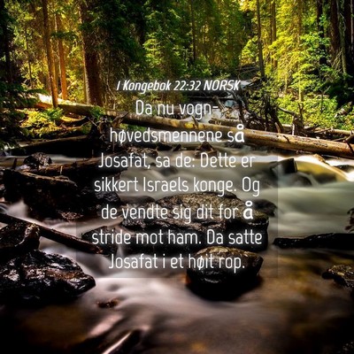 Picture 04 - 1 Kongebok 22:32 NORSK - Da nu vogn-høvedsmennene så Josafat, sa de: - Bible Verse Picture