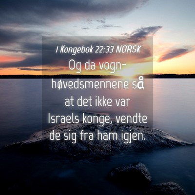 Picture 04 - 1 Kongebok 22:33 NORSK - Og da vogn-høvedsmennene så at det ikke var - Bible Verse Picture