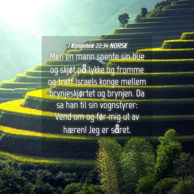 Picture 04 - 1 Kongebok 22:34 NORSK - Men en mann spente sin bue og skjøt på lykke og - Bible Verse Picture