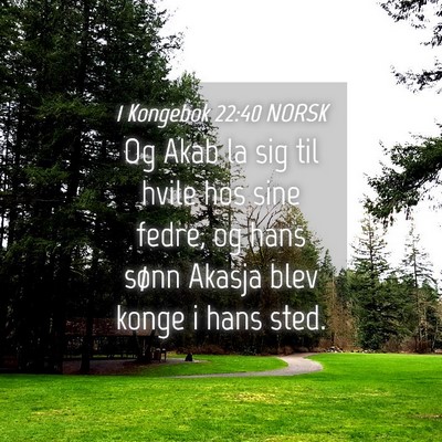 Picture 04 - 1 Kongebok 22:40 NORSK - Og Akab la sig til hvile hos sine fedre, og hans - Bible Verse Picture