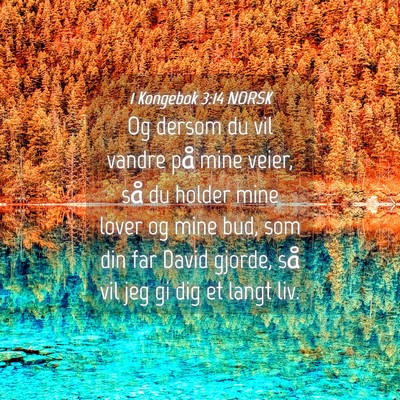 Picture 04 - 1 Kongebok 3:14 NORSK - Og dersom du vil vandre på mine veier, så du - Bible Verse Picture