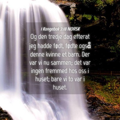 Picture 04 - 1 Kongebok 3:18 NORSK - Og den tredje dag efterat jeg hadde født, fødte - Bible Verse Picture