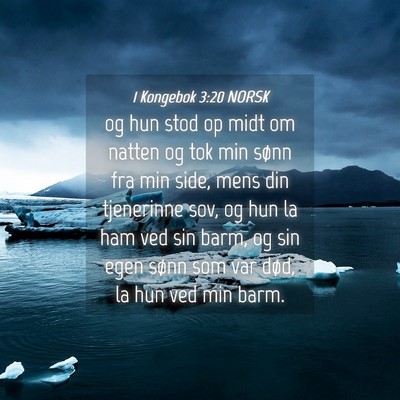 Picture 04 - 1 Kongebok 3:20 NORSK - og hun stod op midt om natten og tok min sønn - Bible Verse Picture