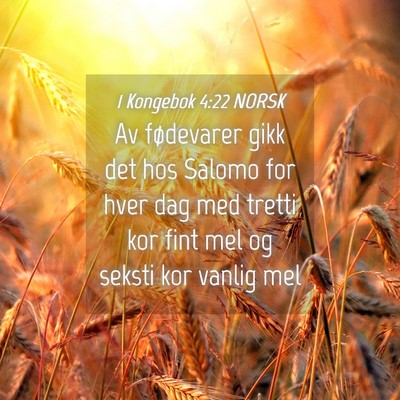 Picture 04 - 1 Kongebok 4:22 NORSK - Av fødevarer gikk det hos Salomo for hver dag - Bible Verse Picture