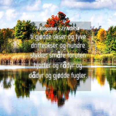 Picture 04 - 1 Kongebok 4:23 NORSK - ti gjødde okser og tyve drifteokser og hundre - Bible Verse Picture