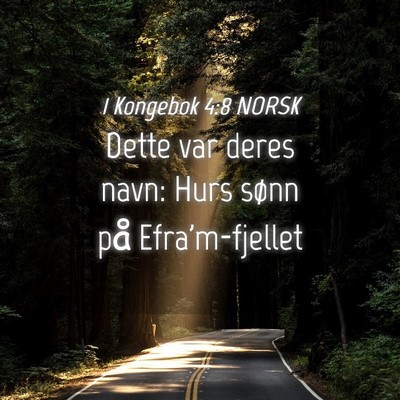 Picture 04 - 1 Kongebok 4:8 NORSK - Dette var deres navn: Hurs sønn på - Bible Verse Picture