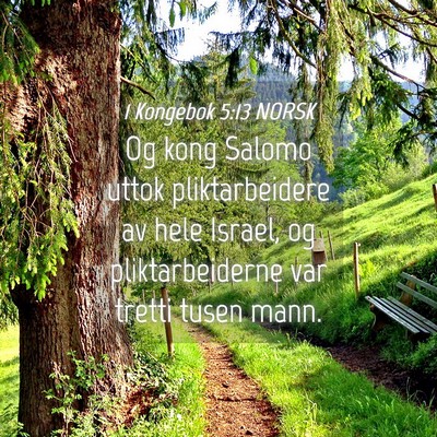 Picture 04 - 1 Kongebok 5:13 NORSK - Og kong Salomo uttok pliktarbeidere av hele - Bible Verse Picture