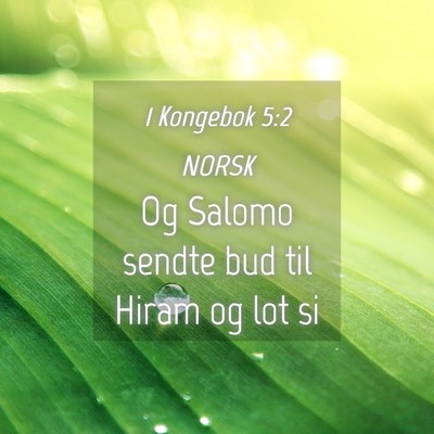 Picture 04 - 1 Kongebok 5:2 NORSK - Og Salomo sendte bud til Hiram og lot - Bible Verse Picture