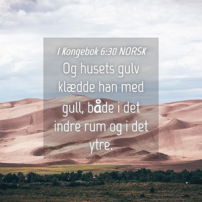 Picture 04 - 1 Kongebok 6:30 NORSK - Og husets gulv klædde han med gull, både i det - Bible Verse Picture