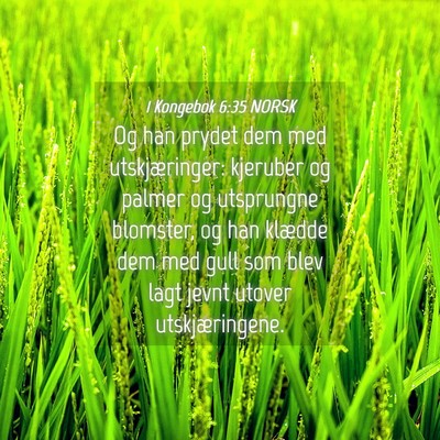 Picture 04 - 1 Kongebok 6:35 NORSK - Og han prydet dem med utskjæringer: kjeruber og - Bible Verse Picture
