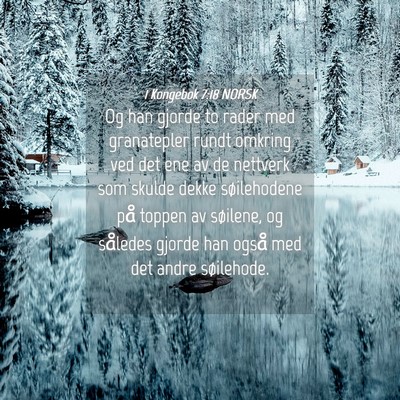 Picture 04 - 1 Kongebok 7:18 NORSK - Og han gjorde to rader med granatepler rundt - Bible Verse Picture