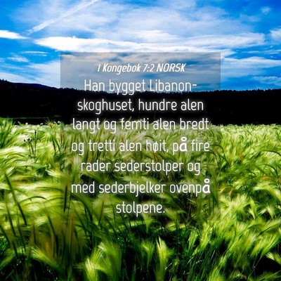 Picture 04 - 1 Kongebok 7:2 NORSK - Han bygget Libanon-skoghuset, hundre alen langt - Bible Verse Picture