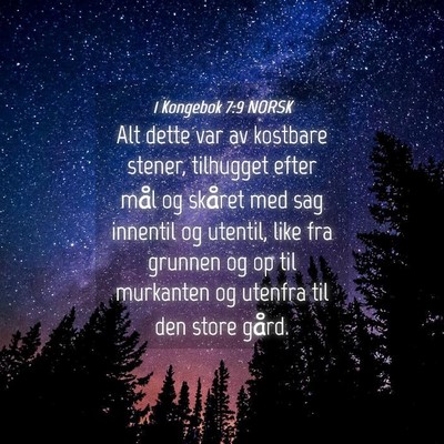 Picture 04 - 1 Kongebok 7:9 NORSK - Alt dette var av kostbare stener, tilhugget efter - Bible Verse Picture