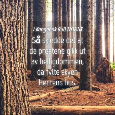 Picture 04 - 1 Kongebok 8:10 NORSK - Så skjedde det at da prestene gikk ut av - Bible Verse Picture