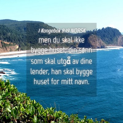 Picture 04 - 1 Kongebok 8:19 NORSK - men du skal ikke bygge huset; din sønn som skal - Bible Verse Picture