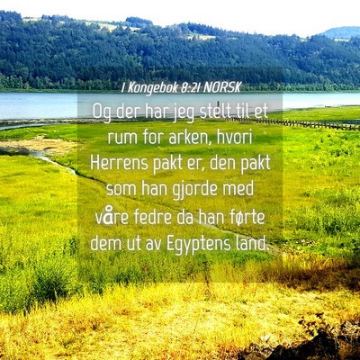 Picture 04 - 1 Kongebok 8:21 NORSK - Og der har jeg stelt til et rum for arken, hvori - Bible Verse Picture