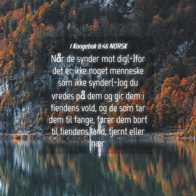 Picture 04 - 1 Kongebok 8:46 NORSK - Når de synder mot dig(-)for det er ikke noget - Bible Verse Picture