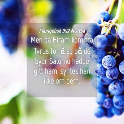 Picture 04 - 1 Kongebok 9:12 NORSK - Men da Hiram kom fra Tyrus for å se på de byer - Bible Verse Picture