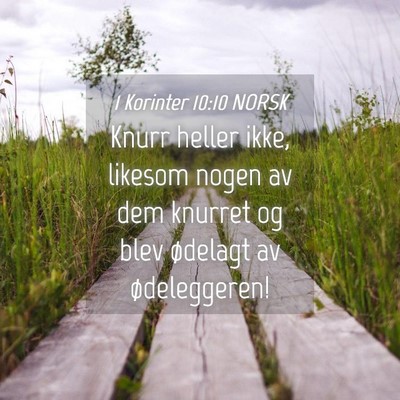 Picture 04 - 1 Korinter 10:10 NORSK - Knurr heller ikke, likesom nogen av dem knurret - Bible Verse Picture