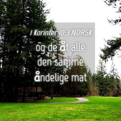 Picture 04 - 1 Korinter 10:3 NORSK - og de åt alle den samme åndelige - Bible Verse Picture