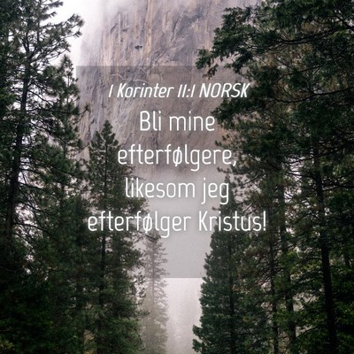 Picture 04 - 1 Korinter 11:1 NORSK - Bli mine efterfølgere, likesom jeg efterfølger - Bible Verse Picture