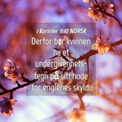 Picture 04 - 1 Korinter 11:10 NORSK - Derfor bør kvinnen ha et undergivenhets-tegn på - Bible Verse Picture