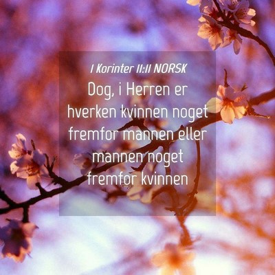 Picture 04 - 1 Korinter 11:11 NORSK - Dog, i Herren er hverken kvinnen noget fremfor - Bible Verse Picture