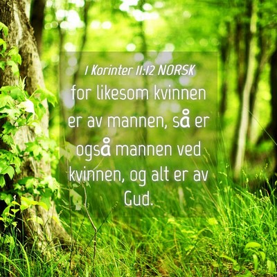 Picture 04 - 1 Korinter 11:12 NORSK - for likesom kvinnen er av mannen, så er også - Bible Verse Picture