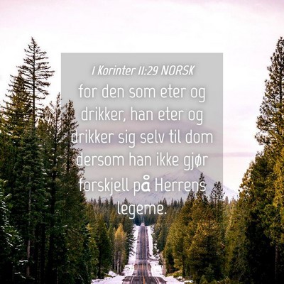 Picture 04 - 1 Korinter 11:29 NORSK - for den som eter og drikker, han eter og drikker - Bible Verse Picture