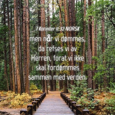 Picture 04 - 1 Korinter 11:32 NORSK - men når vi dømmes, da refses vi av Herren, - Bible Verse Picture