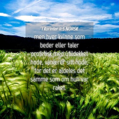 Picture 04 - 1 Korinter 11:5 NORSK - men hver kvinne som beder eller taler profetisk - Bible Verse Picture