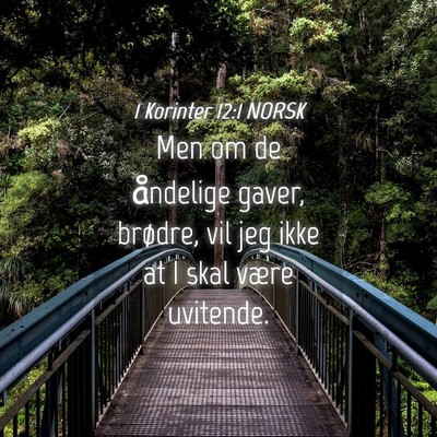 Picture 04 - 1 Korinter 12:1 NORSK - Men om de åndelige gaver, brødre, vil jeg ikke - Bible Verse Picture