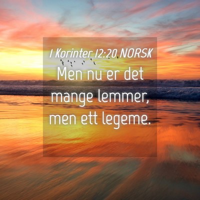 Picture 04 - 1 Korinter 12:20 NORSK - Men nu er det mange lemmer, men ett - Bible Verse Picture