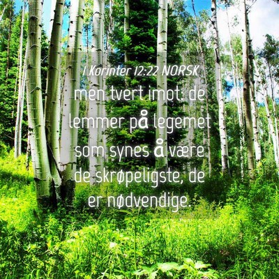 Picture 04 - 1 Korinter 12:22 NORSK - men tvert imot: de lemmer på legemet som synes - Bible Verse Picture