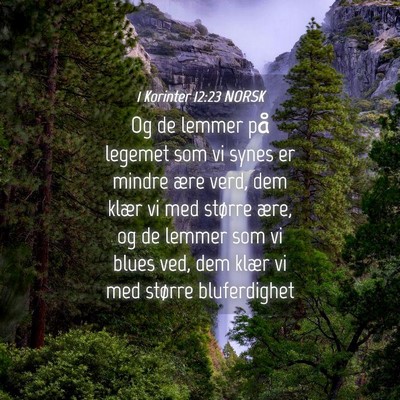 Picture 04 - 1 Korinter 12:23 NORSK - Og de lemmer på legemet som vi synes er mindre - Bible Verse Picture
