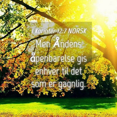 Picture 04 - 1 Korinter 12:7 NORSK - Men Åndens åpenbarelse gis enhver til det som - Bible Verse Picture